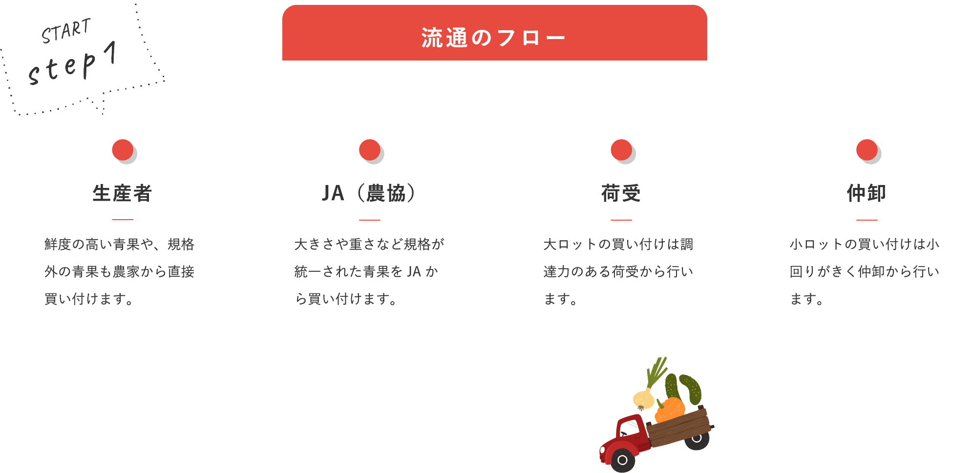 流通のフロー / 生産者:鮮度の高い青果や、規格外の青果も農家から直接買い付けます。|JA(農協):大きさや重さなど規格が統一された青果をJAから買い付けます。|荷受:大ロットの買い付けは調達力のある荷受から行います。|仲卸:小ロットの買い付けは小回りがきく仲卸から行います。