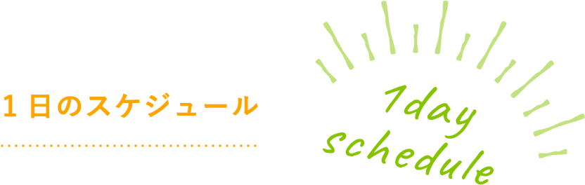 1日のスケジュール
