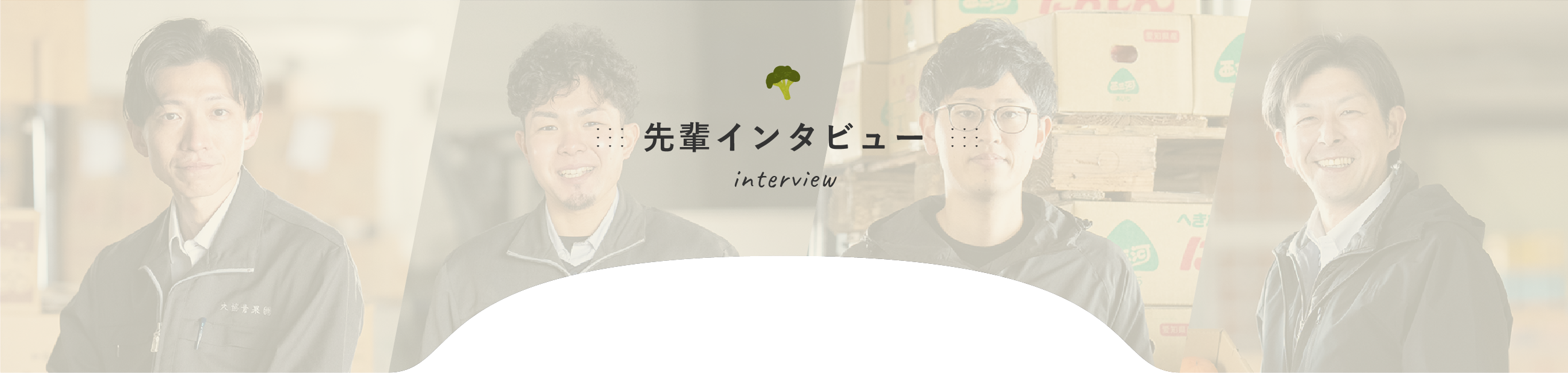 先輩インタビュー