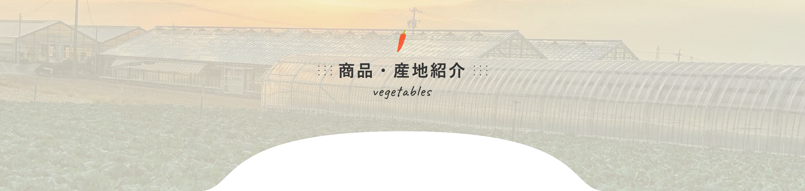 商品・産地情報