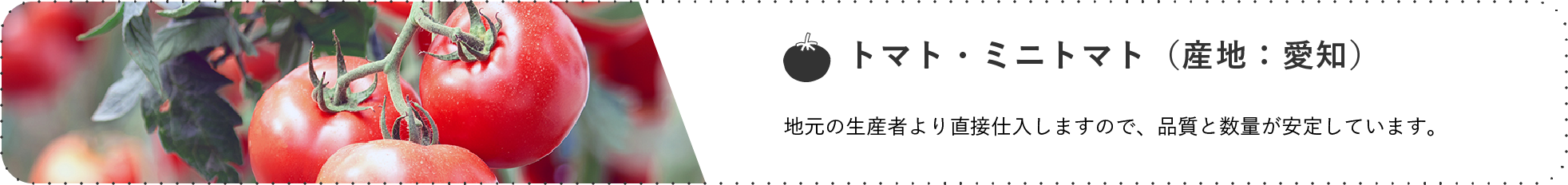 トマト・ミニトマト(産地:愛知) / 地元の生産者より直接仕入しますので、品質と数量が安定しています。