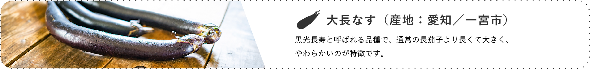 大長なす(産地:愛知/一宮市) / 黒光長寿と呼ばれる品種で、通常の長茄子より長くて大きく、やわらかいのが特徴です。