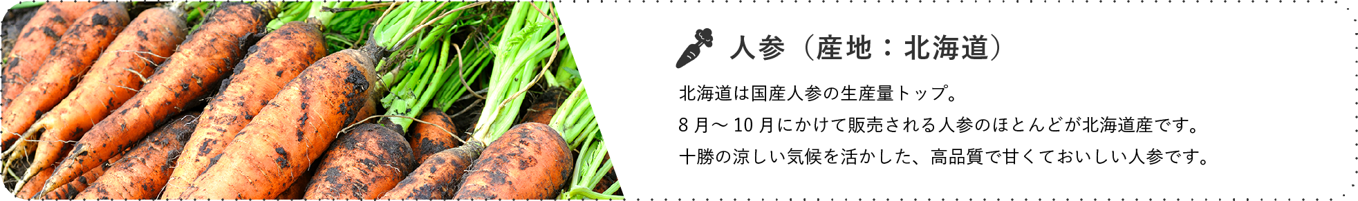人参(産地:青森) / 出荷は7月がピークで、この時期には青森県産のにんじんが市場の60%のシェアを占めています。