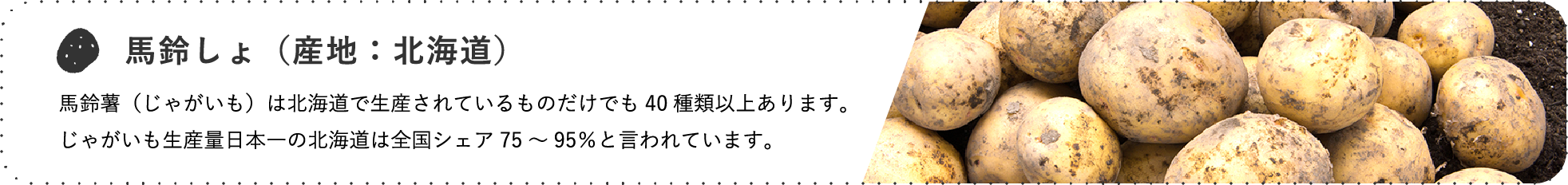 馬鈴しょ(産地:北海道) / 馬鈴薯(じゃがいも)は北海道で生産されているものだけでも40種類以上あります。じゃがいも生産量日本一の北海道は全国シェア75~95%と言われています。