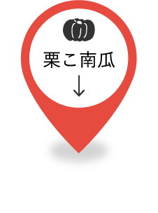 栗こ南瓜