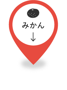 みかん