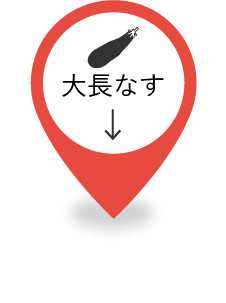 大長なす
