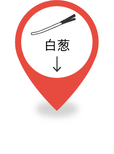 白葱