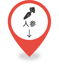 人参