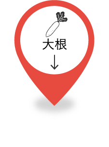 大根