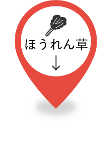 ほうれん草